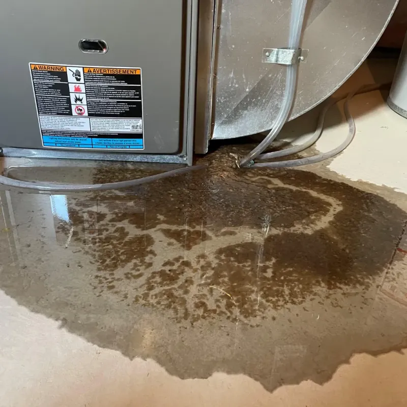 Appliance Leak Cleanup in Palo Alto County, IA